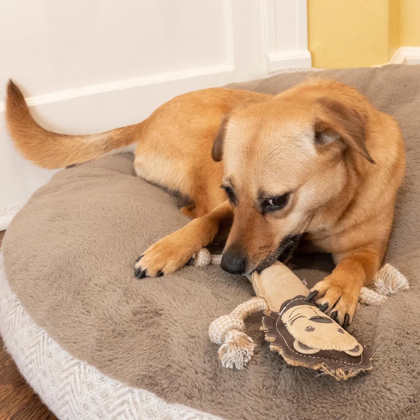 Leather Dog Toys – Dura-Fused Jungle Animals with Squeakers and Rope Limbs, No-Stuffing, for Light to Moderate Chewers, 14In, 1 Piece