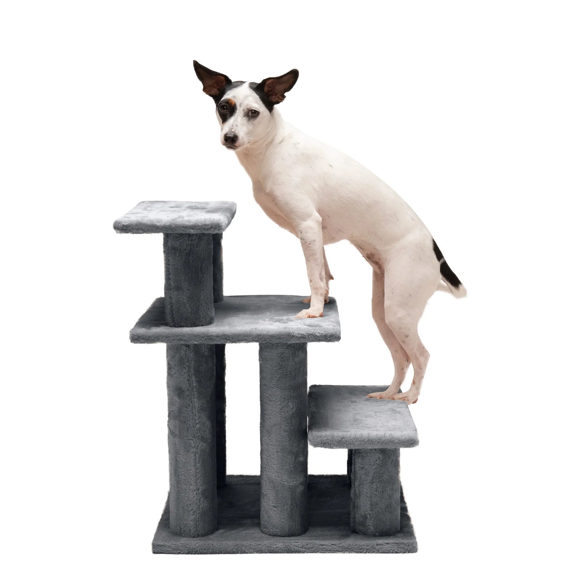 Pet Stairs | Steady Paws 3-Step Pet Stairs, Gray
