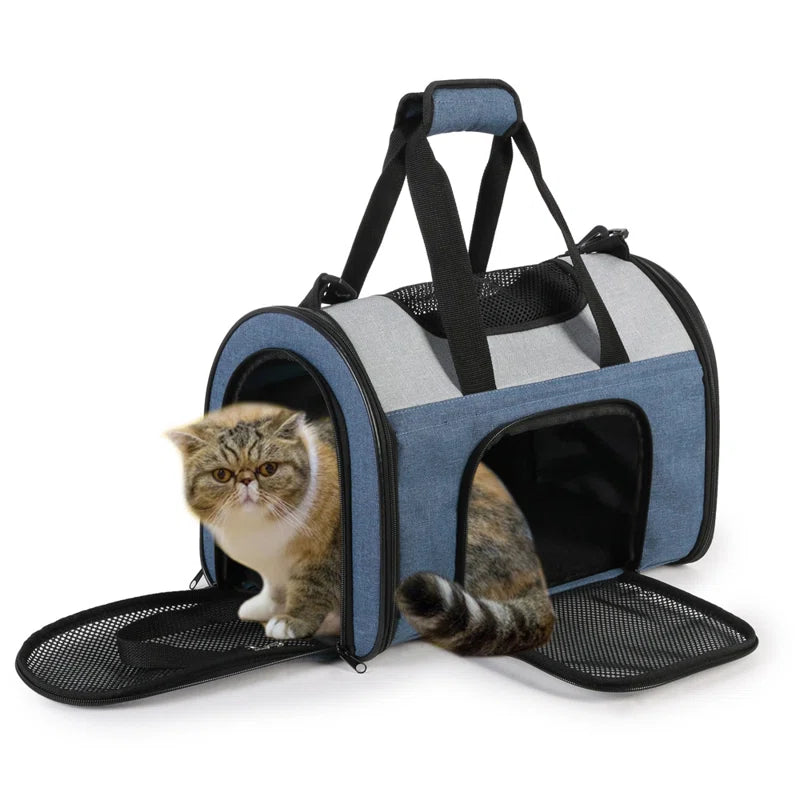 Collapsible Pet Carrier