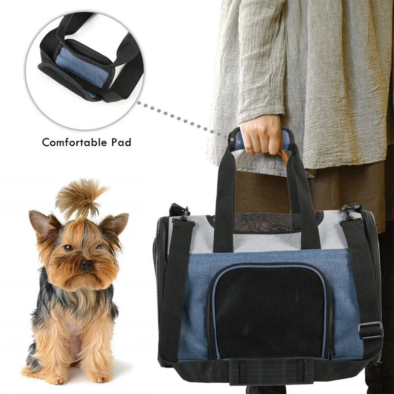 Collapsible Pet Carrier