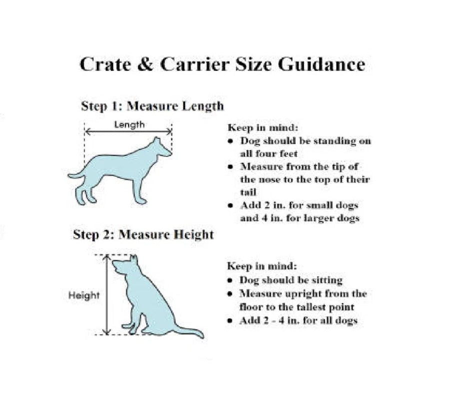 Collapsible Pet Carrier