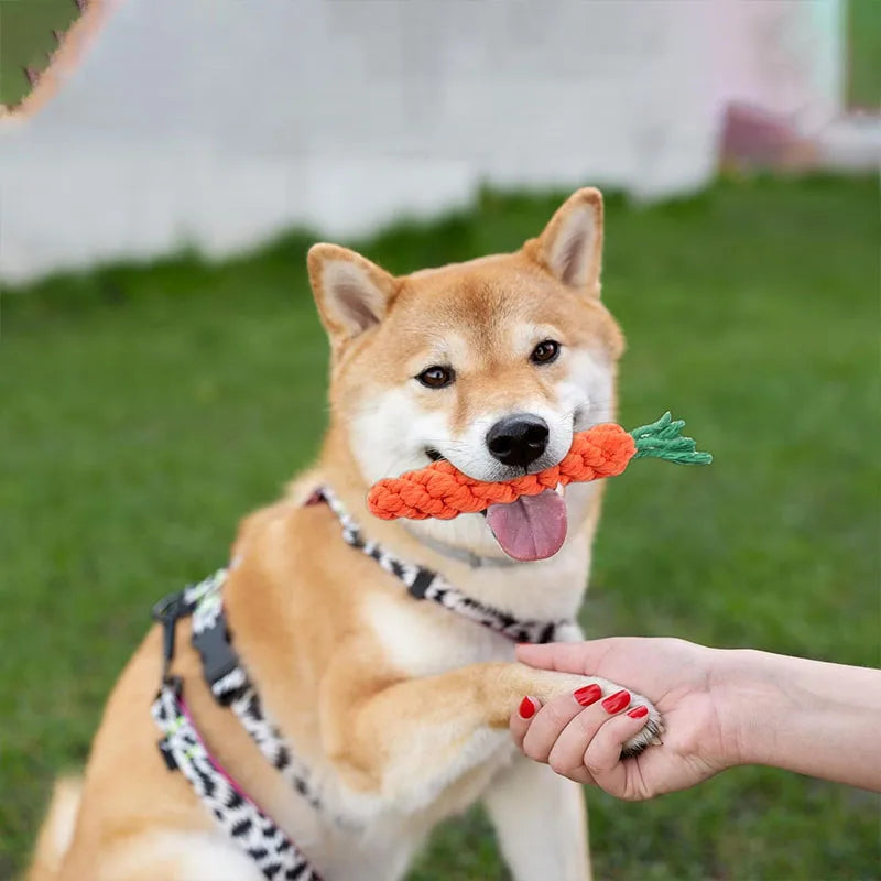 Carrot Dog Bite Rope Pet Dog Toy Safe Durable Braided Bite Dog Chew Toys Resistant Puppy Molar Cleaning Teeth Cotton Rope