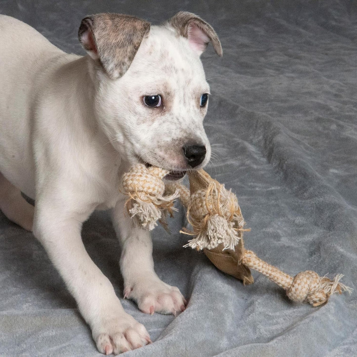 Leather Dog Toys – Dura-Fused Jungle Animals with Squeakers and Rope Limbs, No-Stuffing, for Light to Moderate Chewers, 14In, 1 Piece