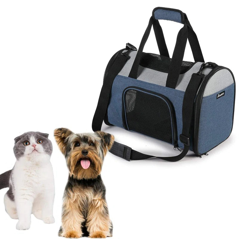 Collapsible Pet Carrier
