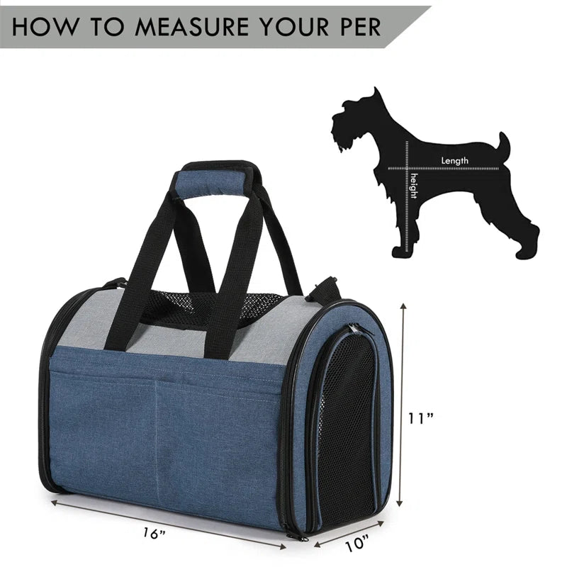 Collapsible Pet Carrier