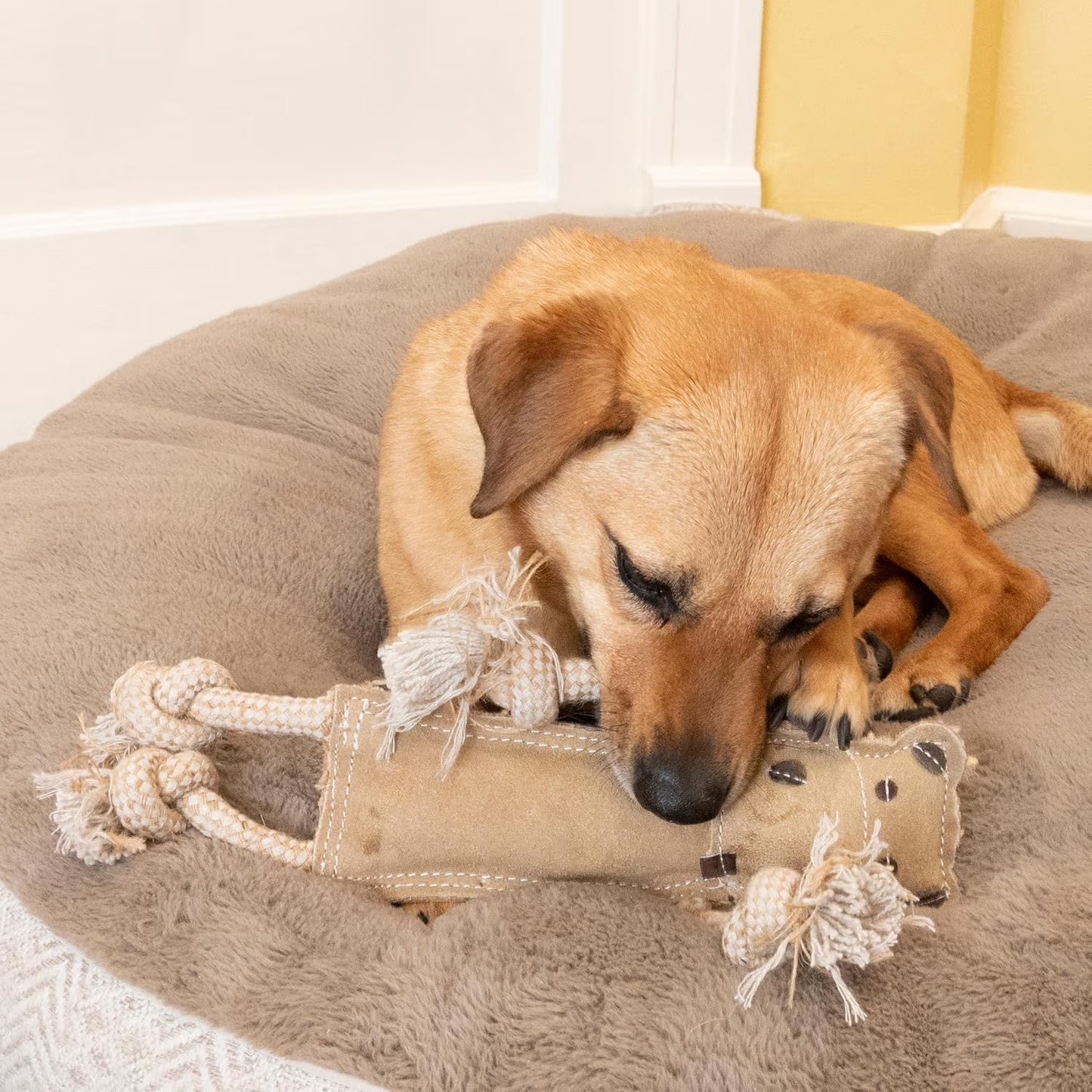 Leather Dog Toys – Dura-Fused Jungle Animals with Squeakers and Rope Limbs, No-Stuffing, for Light to Moderate Chewers, 14In, 1 Piece