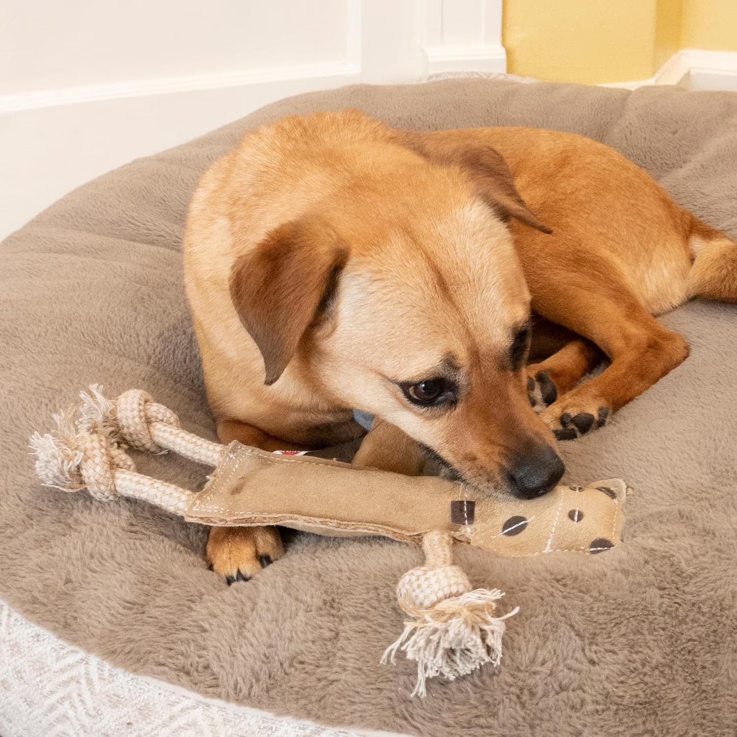 Leather Dog Toys – Dura-Fused Jungle Animals with Squeakers and Rope Limbs, No-Stuffing, for Light to Moderate Chewers, 14In, 1 Piece