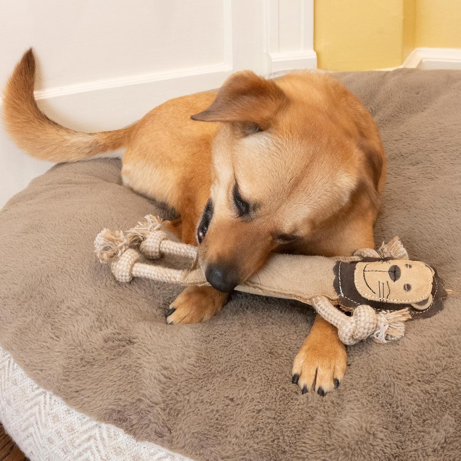 Leather Dog Toys – Dura-Fused Jungle Animals with Squeakers and Rope Limbs, No-Stuffing, for Light to Moderate Chewers, 14In, 1 Piece