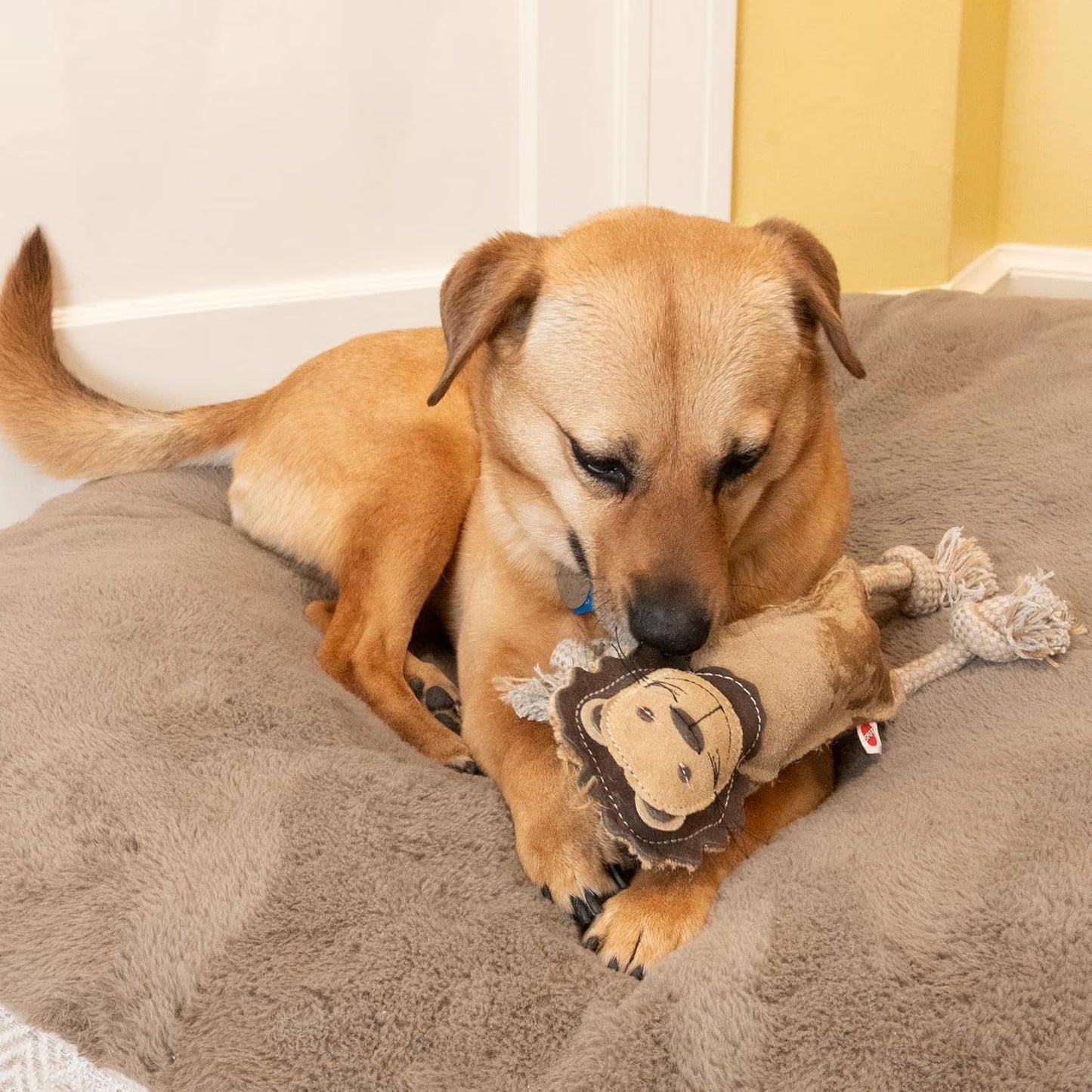 Leather Dog Toys – Dura-Fused Jungle Animals with Squeakers and Rope Limbs, No-Stuffing, for Light to Moderate Chewers, 14In, 1 Piece