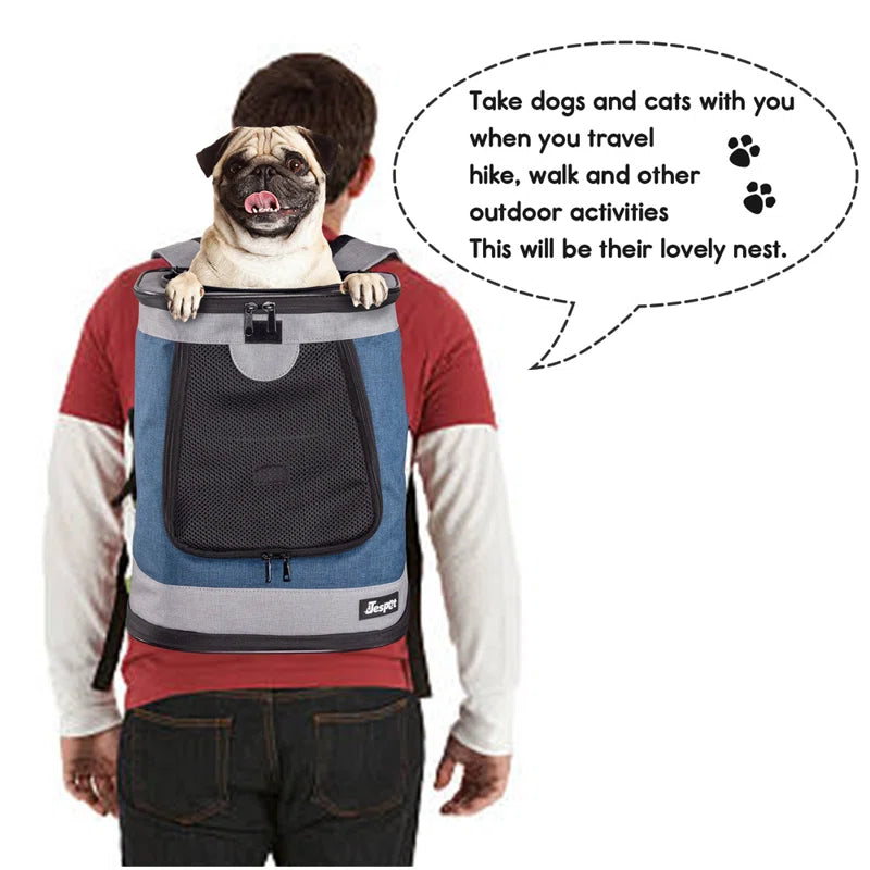 Collapsible Pet Carrier