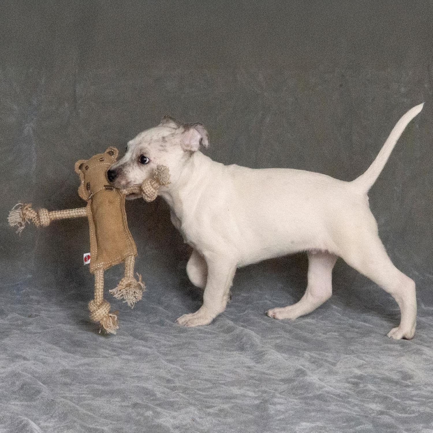 Leather Dog Toys – Dura-Fused Jungle Animals with Squeakers and Rope Limbs, No-Stuffing, for Light to Moderate Chewers, 14In, 1 Piece